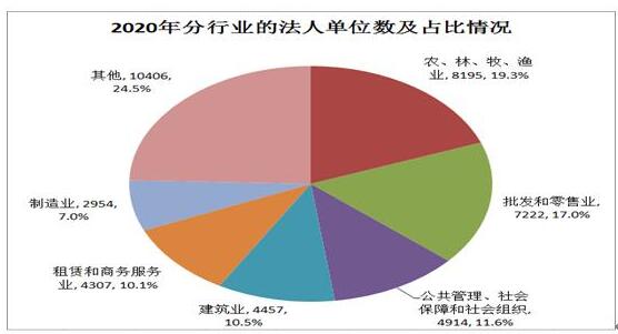 单位总量不断壮大 助推经济快速增长